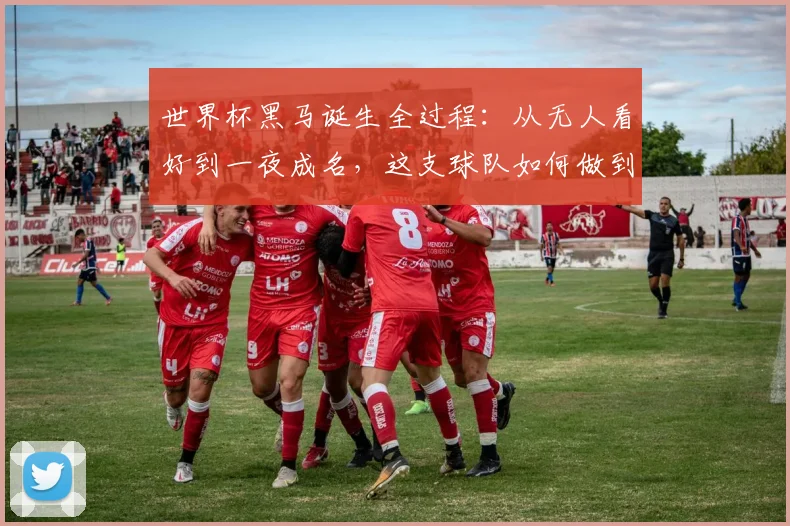 世界杯黑马诞生全过程：从无人看好到一夜成名，这支球队如何做到？