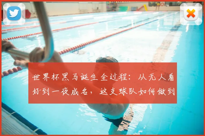 世界杯黑马诞生全过程:从无人看好到一夜成名,这支球队如何做到?